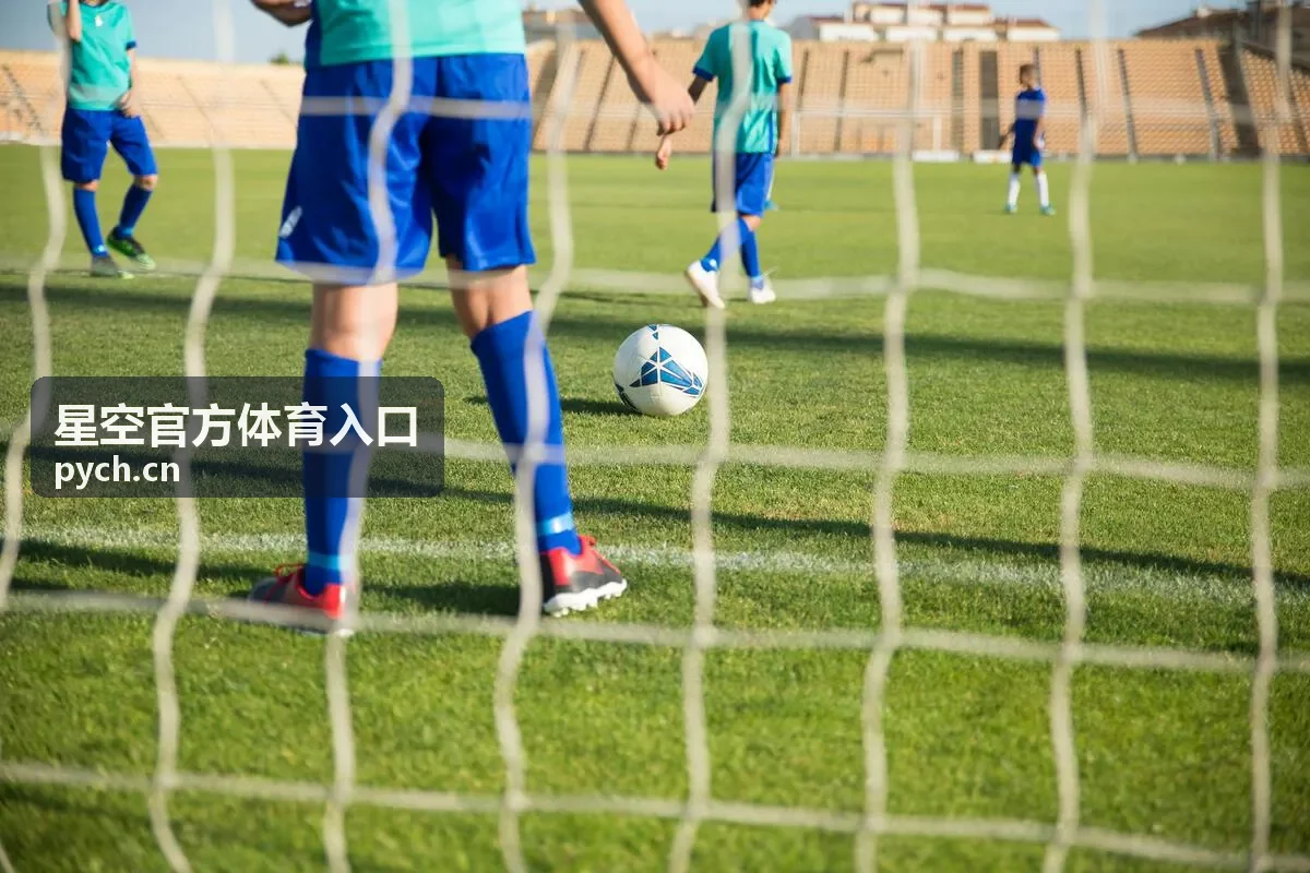 星空官方体育入口使用指南封面